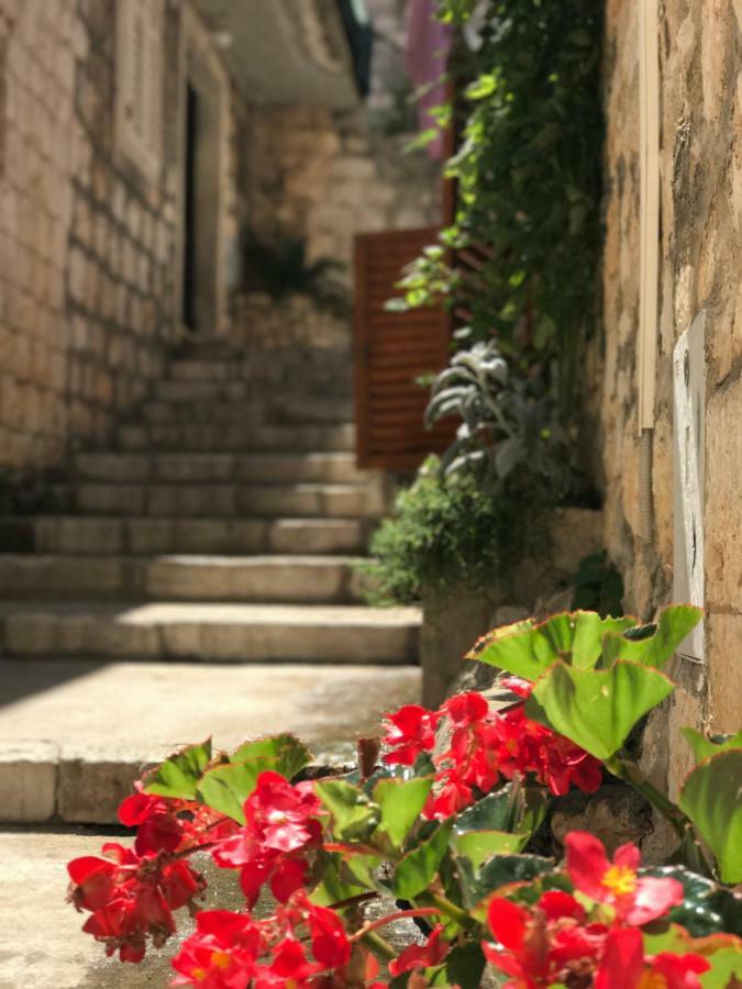 In The Heart Of The Town * Vis