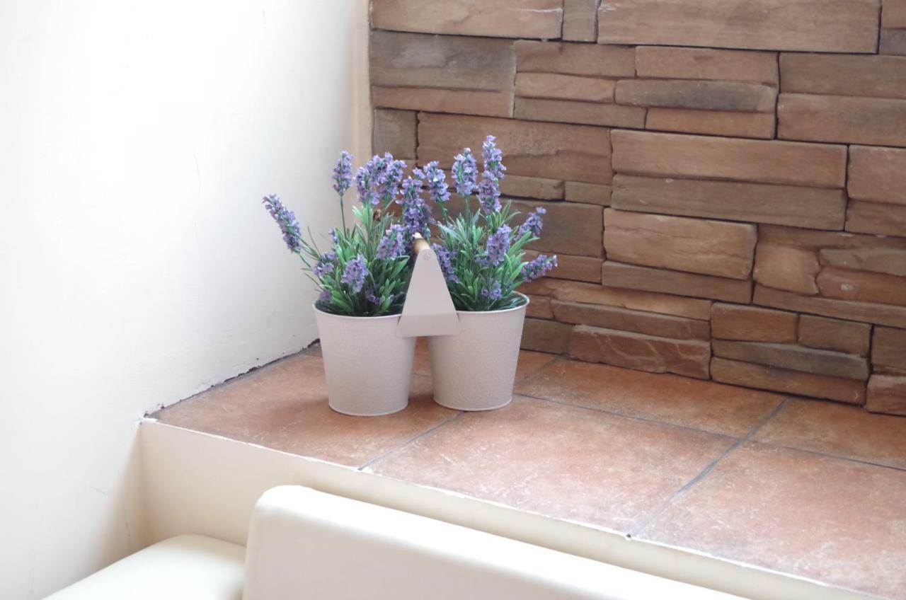 Apartment In The Heart Of The Town Vis